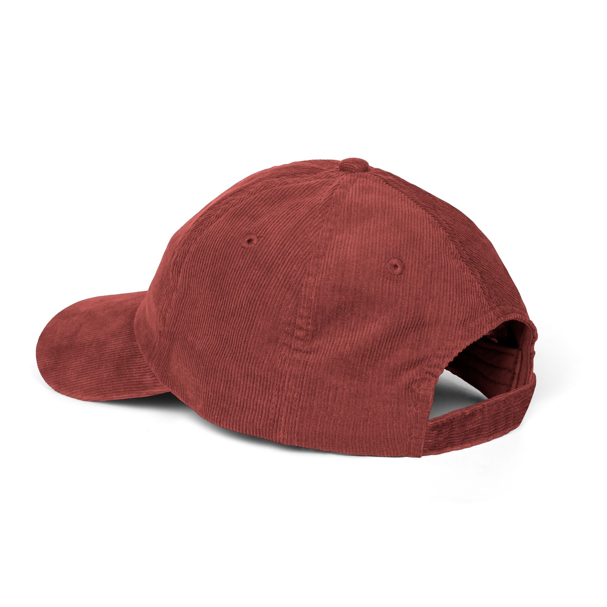 'The Unf*ck America Tour' (Embroidered Cap)