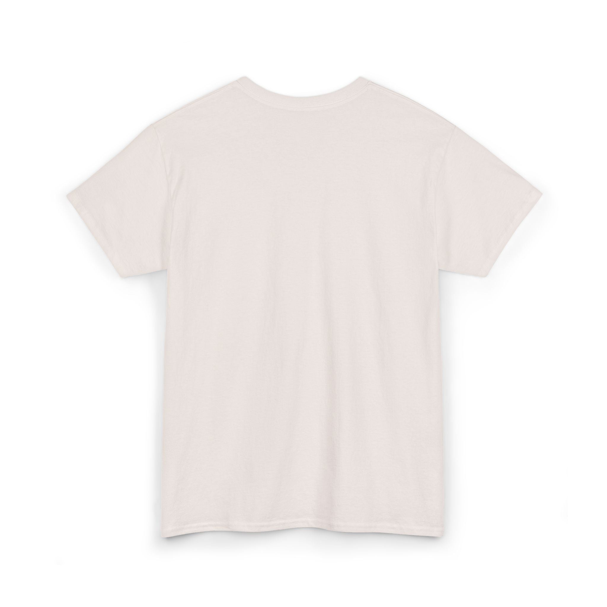 'Unf*ck America' (Embroided Minimalist Tee)
