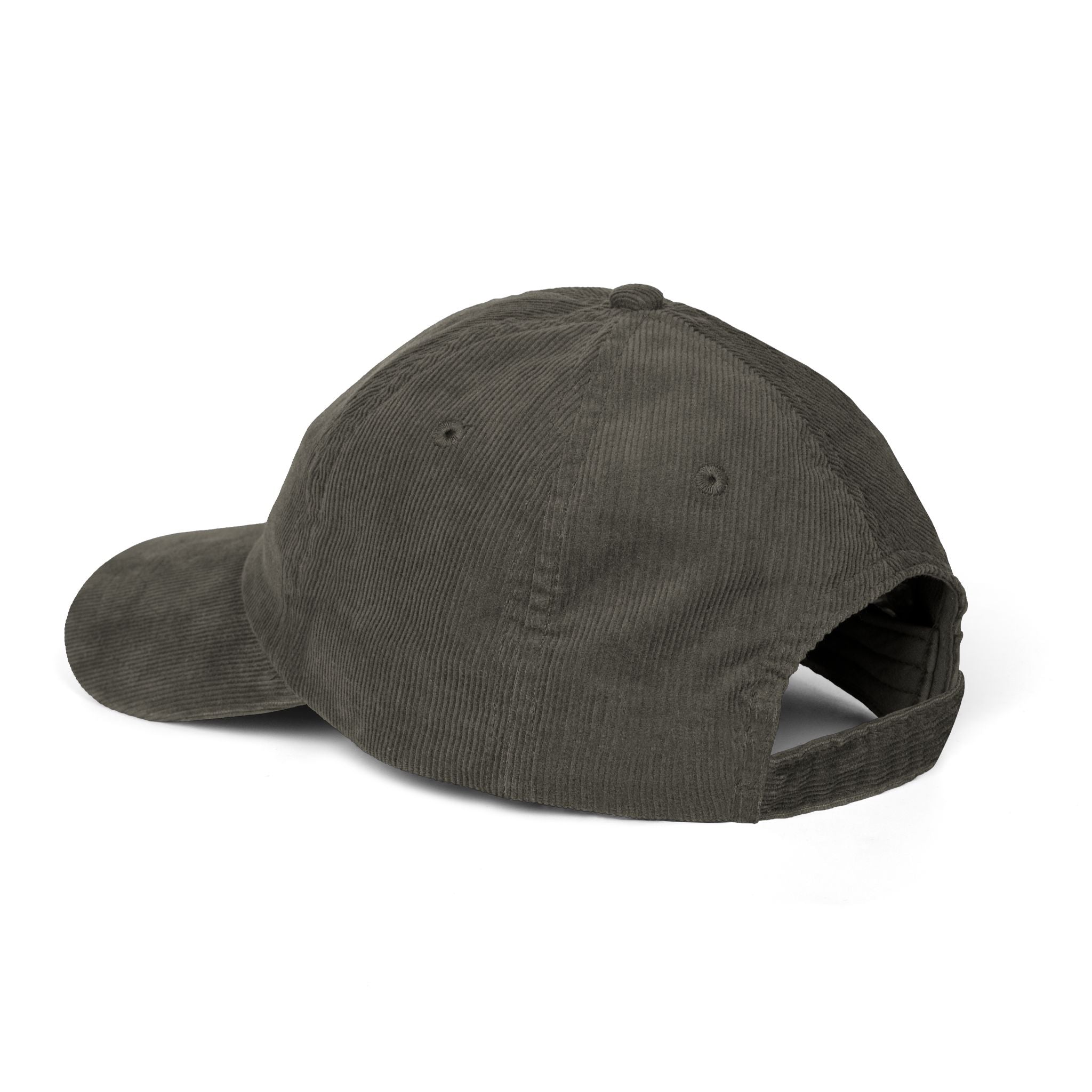 'The Unf*ck America Tour' (Embroidered Cap)